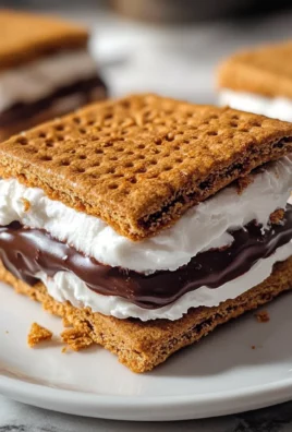 Frozen Protein S'mores (Gluten Free, Dairy Free)
