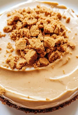 No Bake Cookie Butter Cheesecake