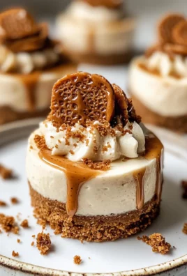 No Bake Mini Biscoff Cheesecakes